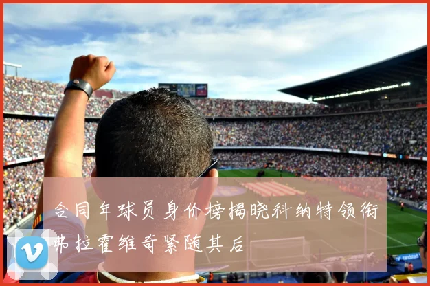 合同年球员身价榜揭晓科纳特领衔弗拉霍维奇紧随其后