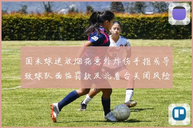 国米球迷放烟花意外炸伤手指或导致球队面临罚款及北看台关闭风险