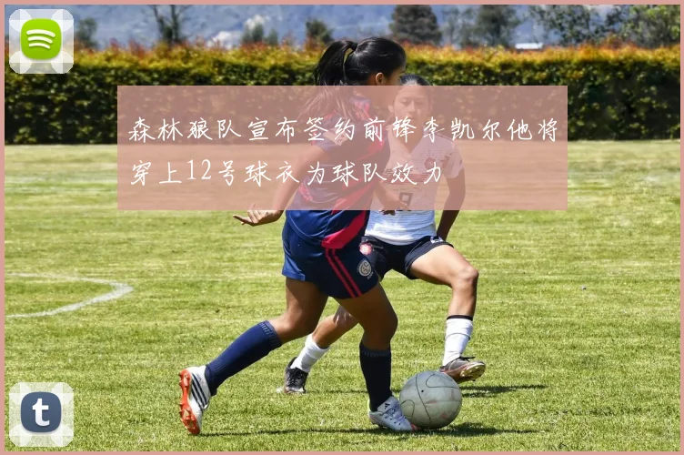 森林狼队宣布签约前锋李凯尔他将穿上12号球衣为球队效力