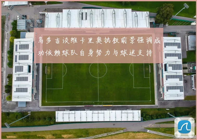乌多吉谈维卡里奥执教前景强调成功依赖球队自身努力与球迷支持